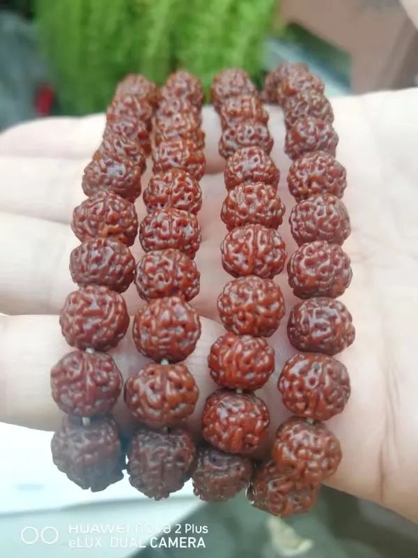 %title插图%num %title插图%num