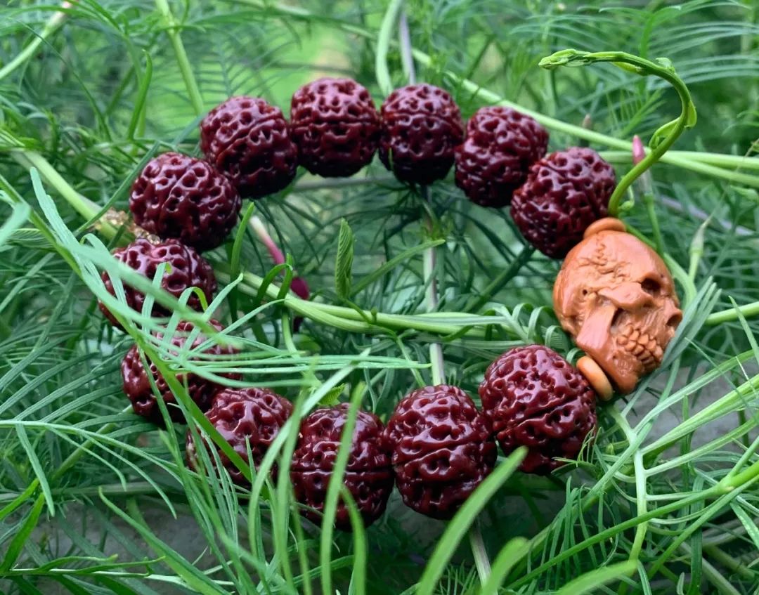 %title插图%num %title插图%num