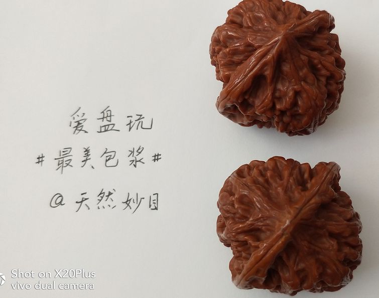 %title插图%num %title插图%num