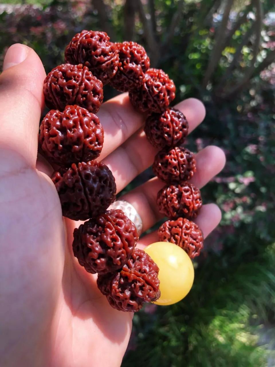 %title插图%num %title插图%num