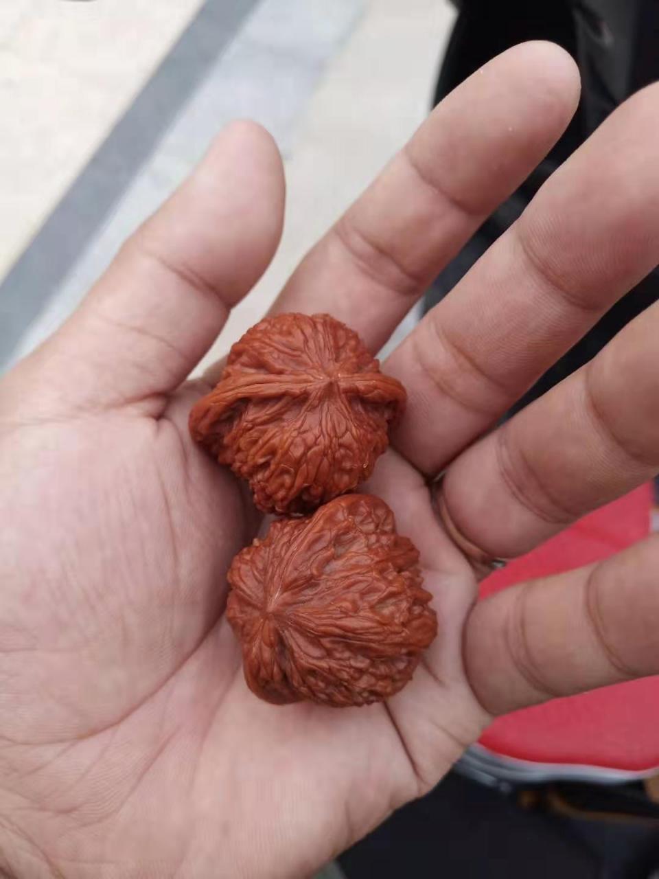 %title插图%num %title插图%num