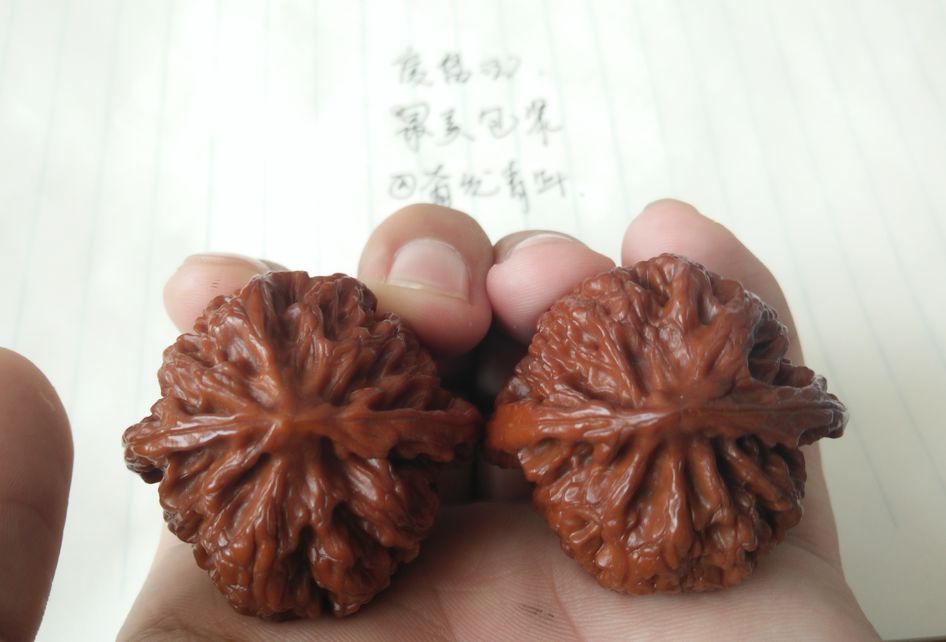 %title插图%num %title插图%num