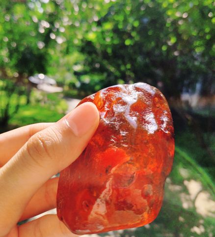 %title插图%num %title插图%num