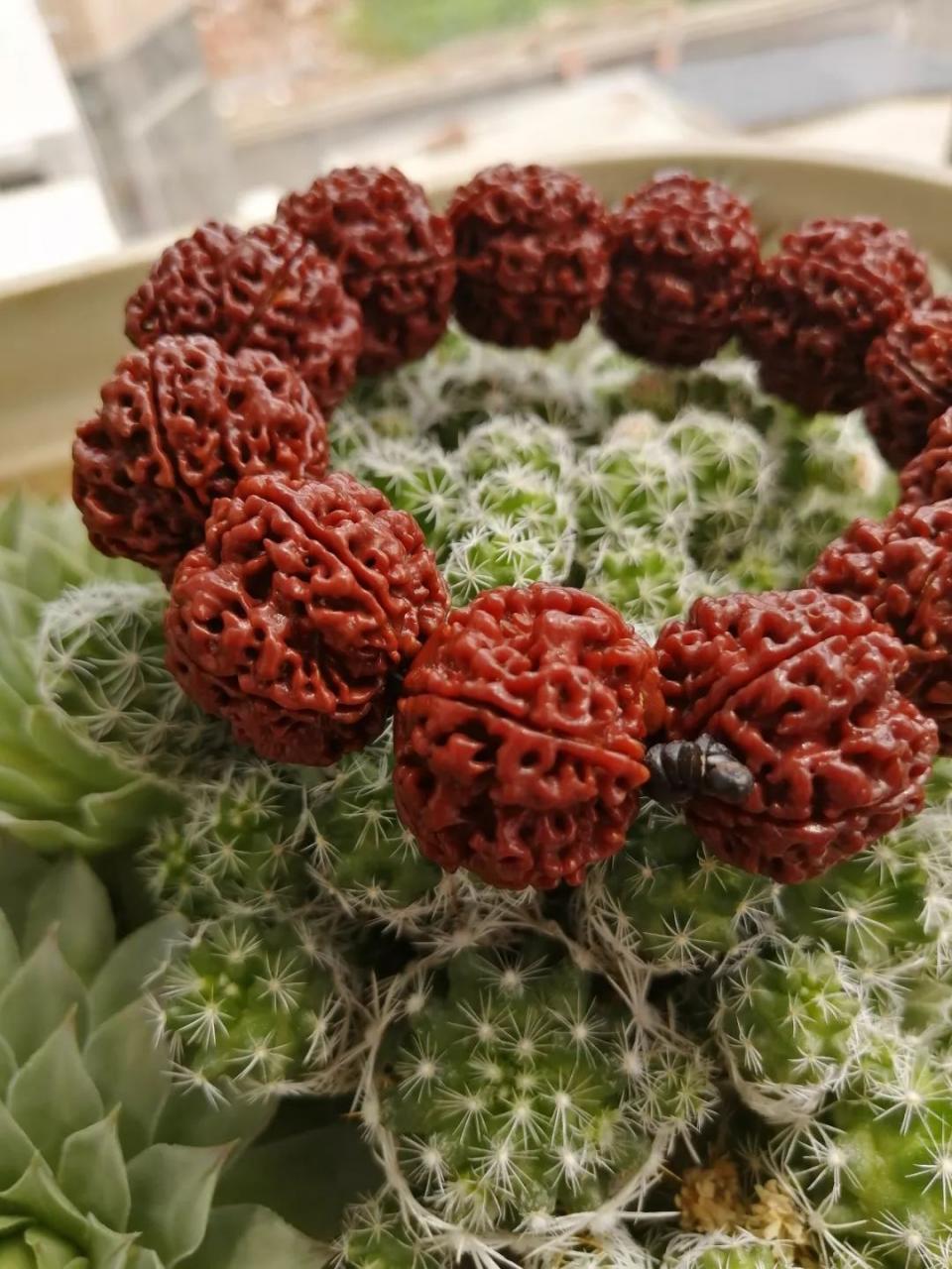 %title插图%num %title插图%num