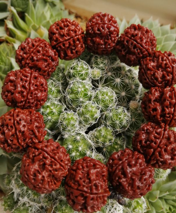 %title插图%num %title插图%num