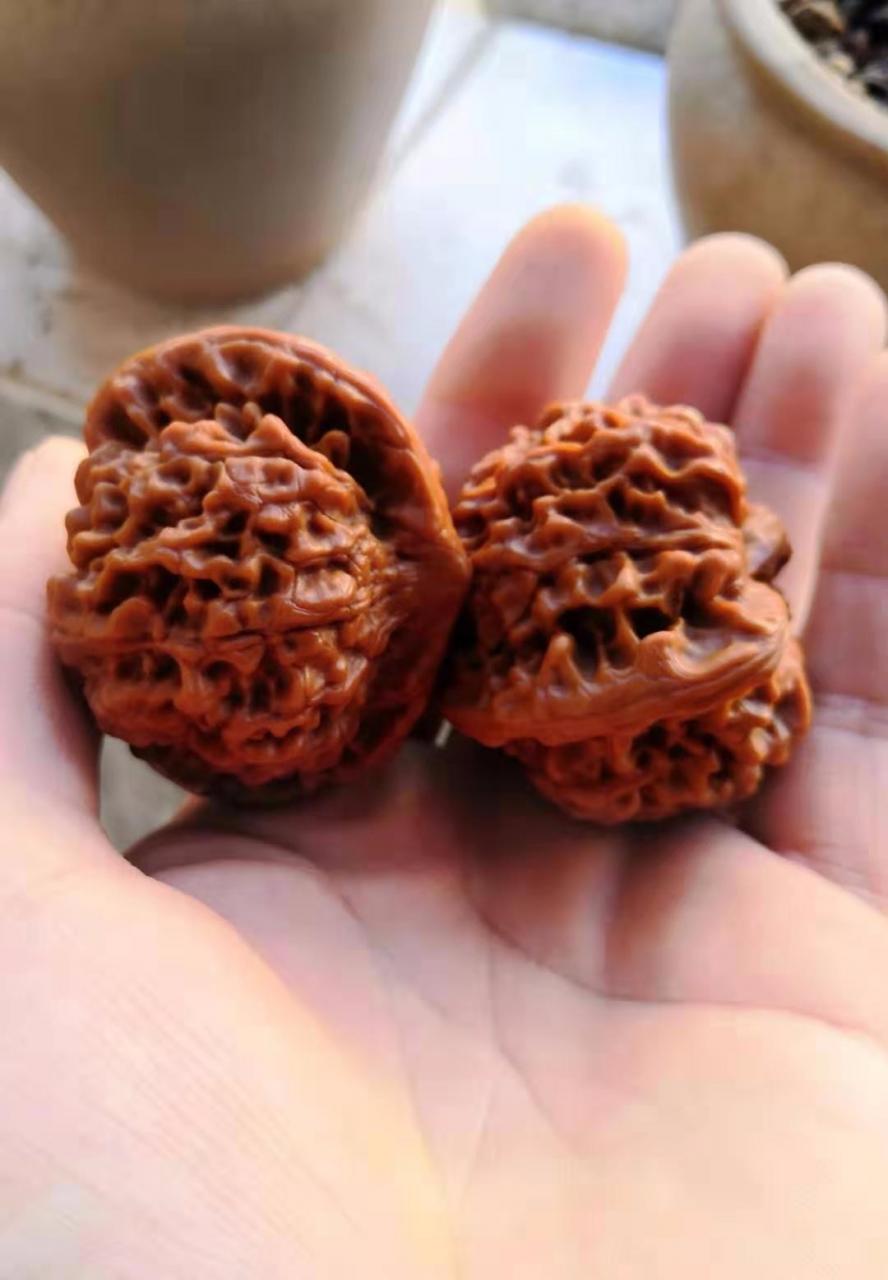 %title插图%num %title插图%num