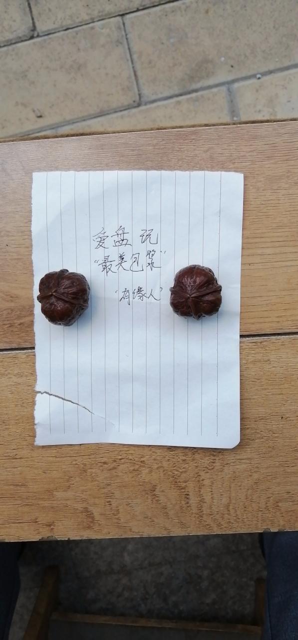 %title插图%num %title插图%num