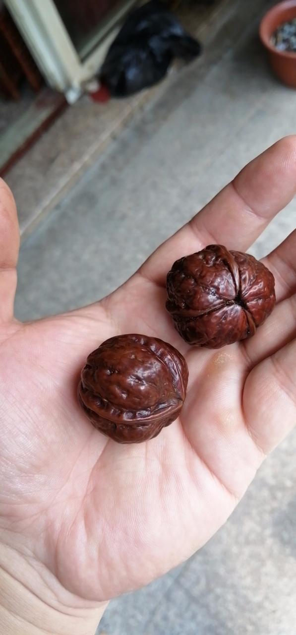 %title插图%num %title插图%num