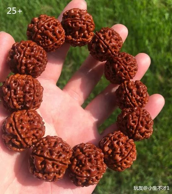 %title插图%num %title插图%num