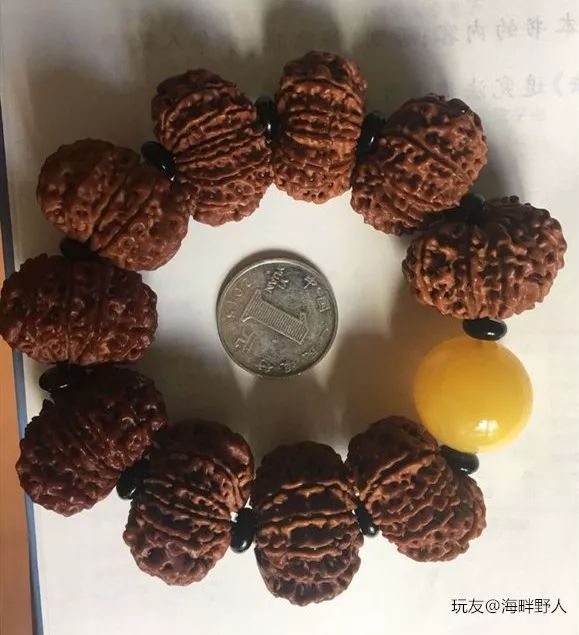 %title插图%num %title插图%num