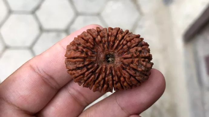 %title插图%num %title插图%num