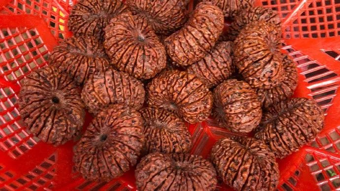 %title插图%num %title插图%num