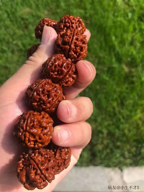 %title插图%num %title插图%num