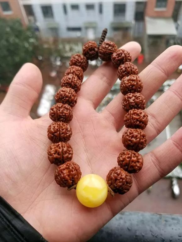 %title插图%num %title插图%num