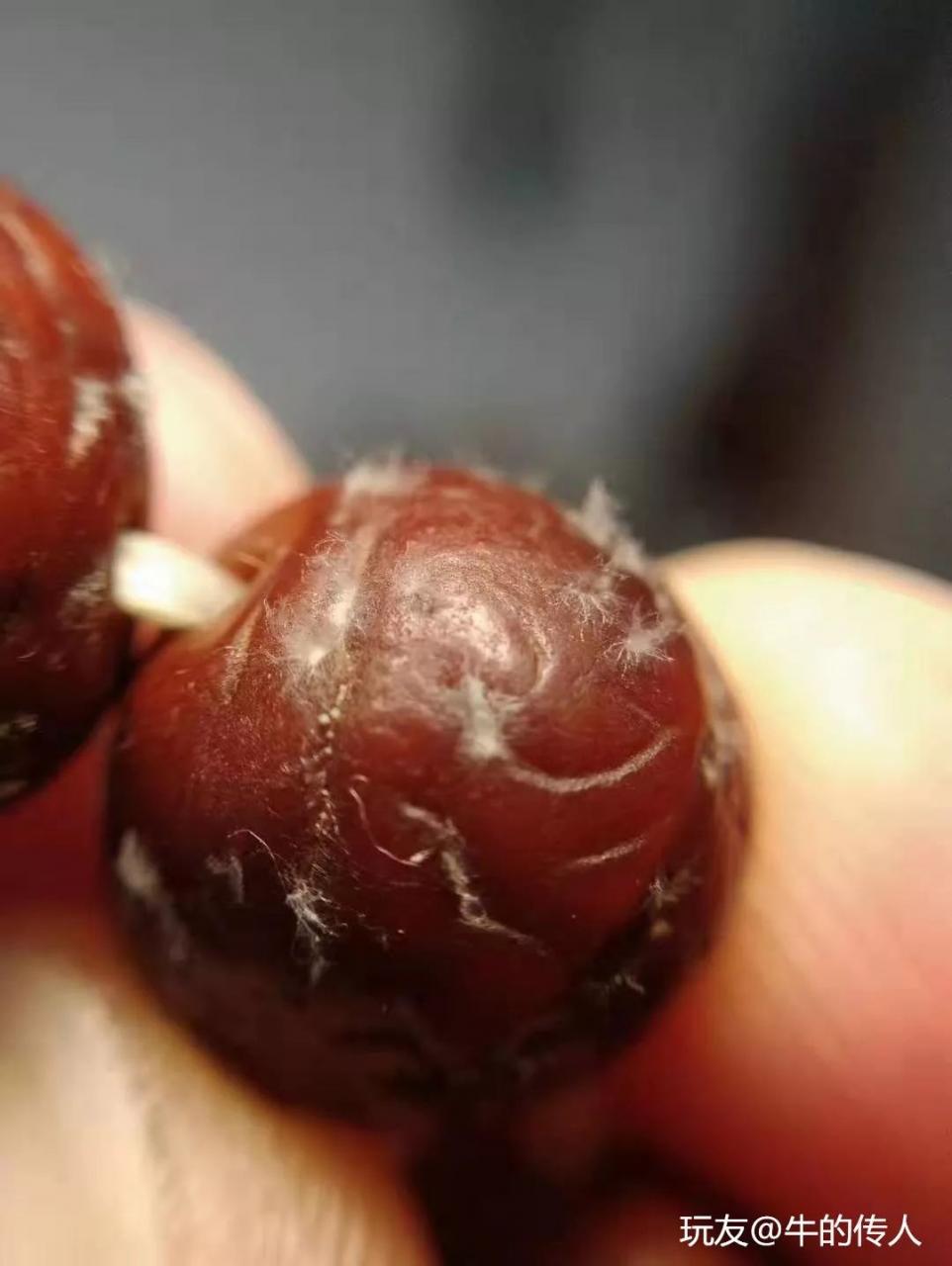 %title插图%num %title插图%num