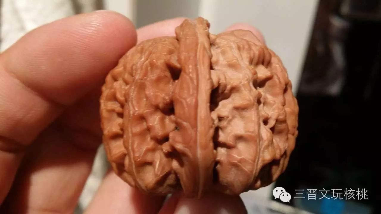 %title插图%num %title插图%num