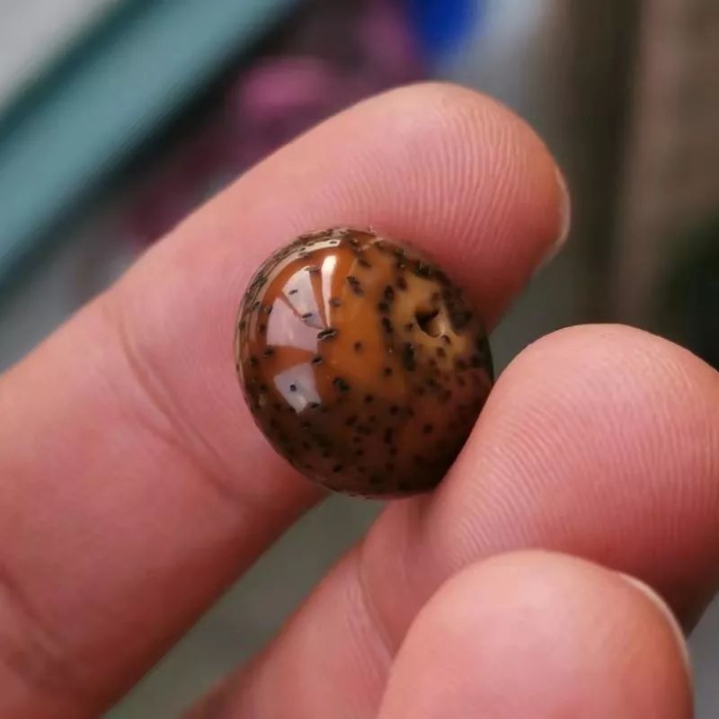 %title插图%num %title插图%num