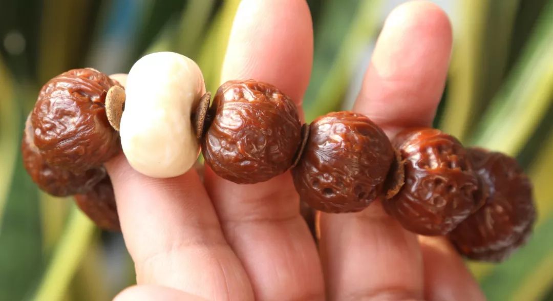 %title插图%num %title插图%num