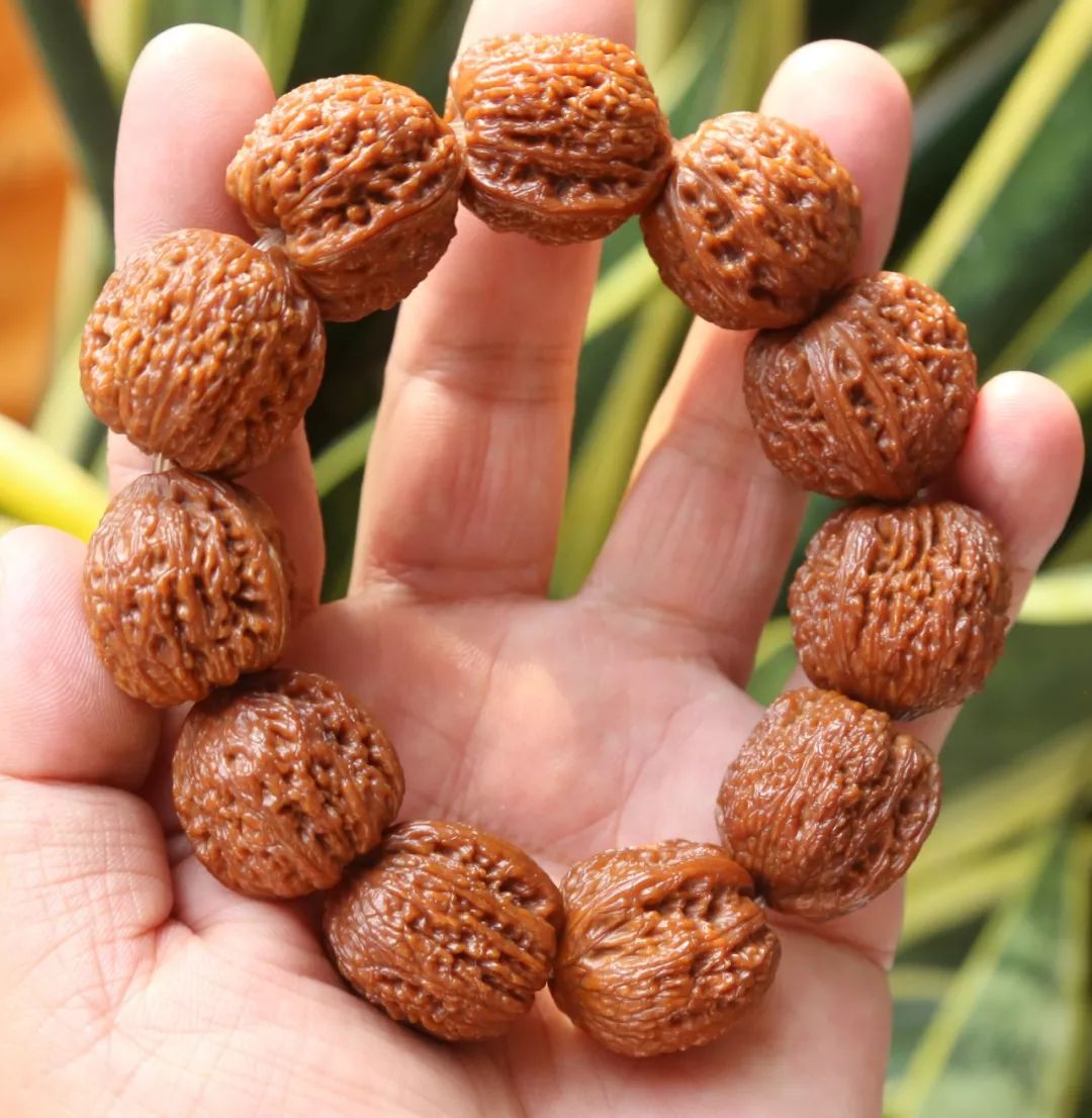 %title插图%num %title插图%num