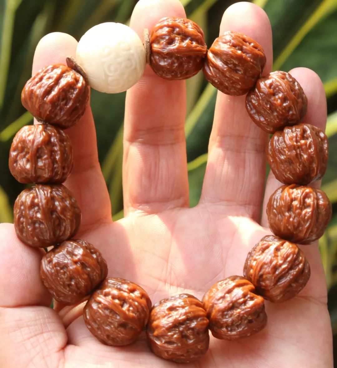 %title插图%num %title插图%num