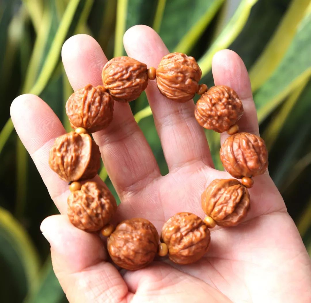 %title插图%num %title插图%num