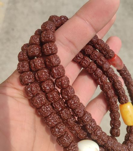 %title插图%num %title插图%num