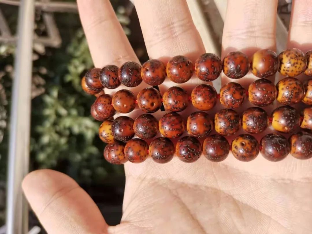 %title插图%num %title插图%num