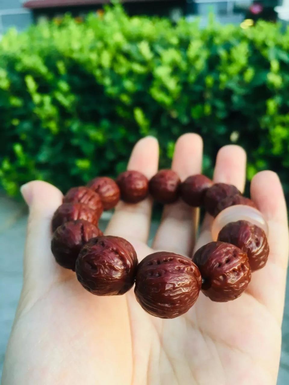 %title插图%num %title插图%num