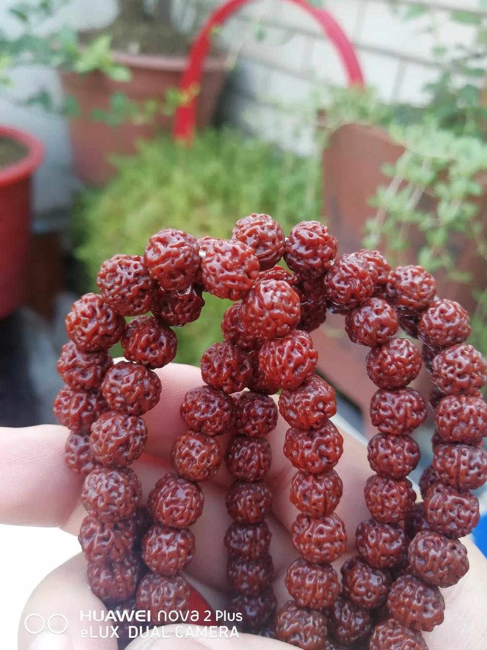 %title插图%num %title插图%num