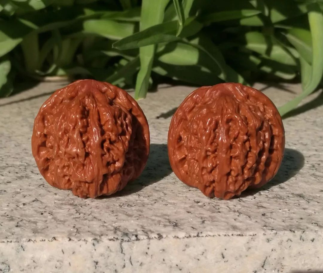 %title插图%num %title插图%num