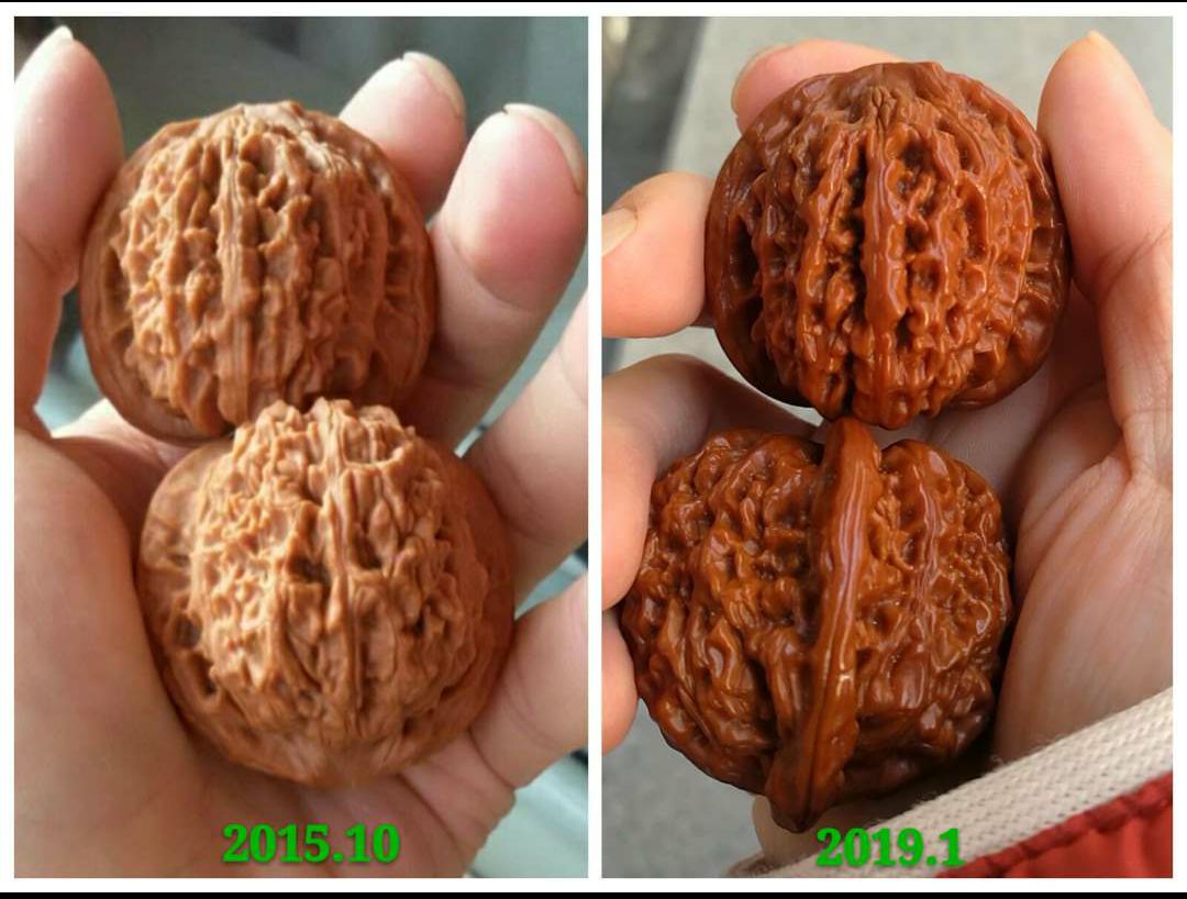 %title插图%num %title插图%num