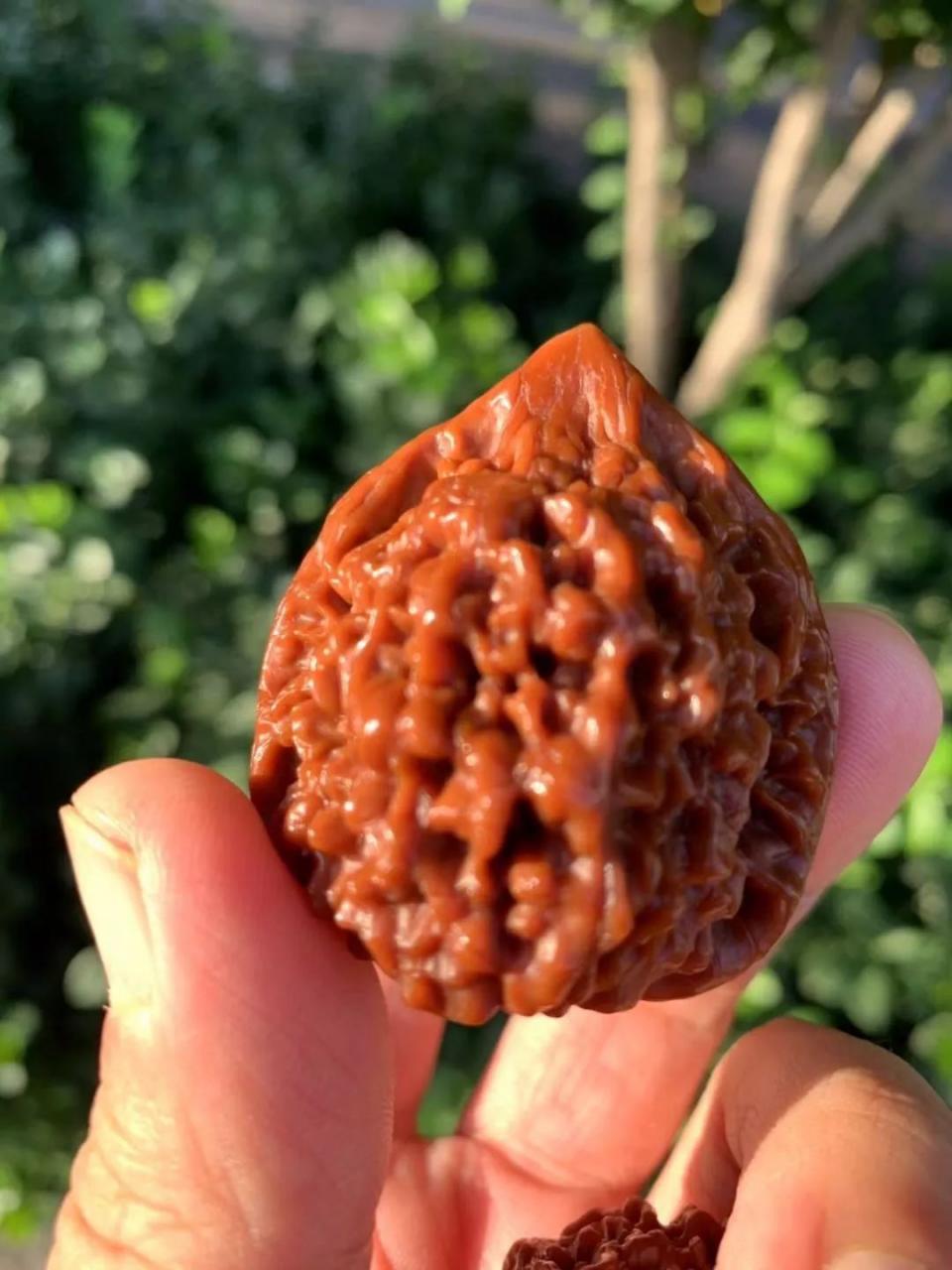 %title插图%num %title插图%num