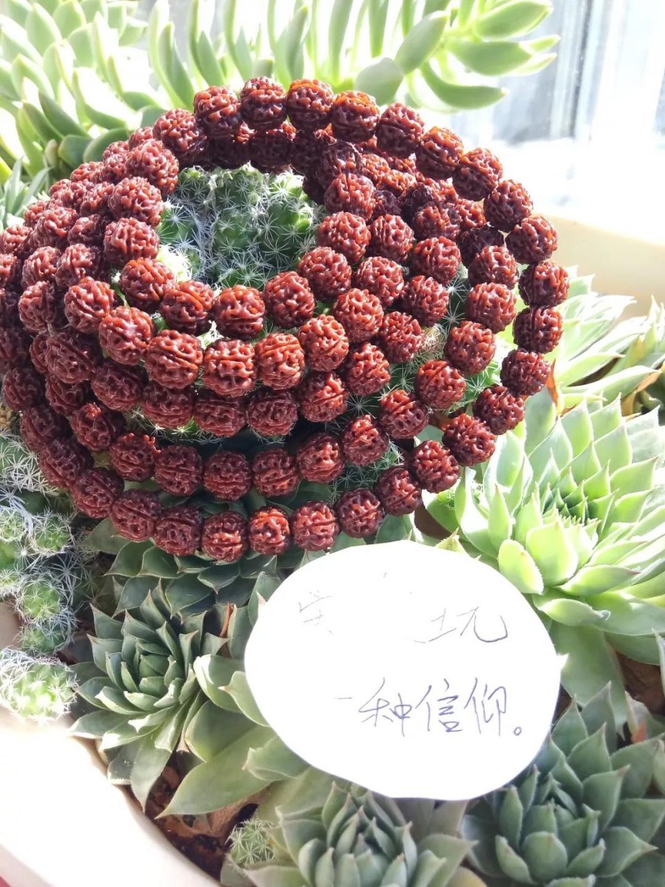 %title插图%num %title插图%num