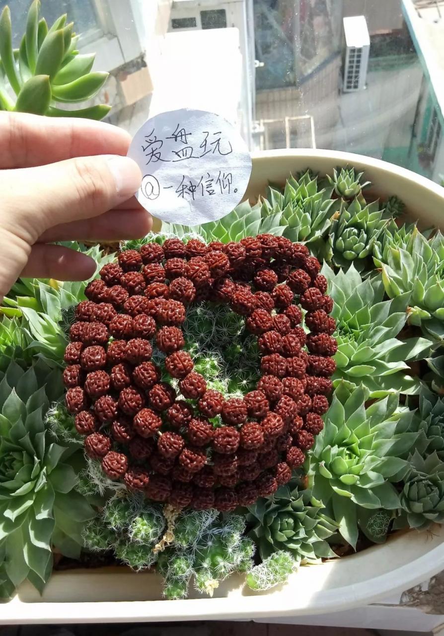 %title插图%num %title插图%num