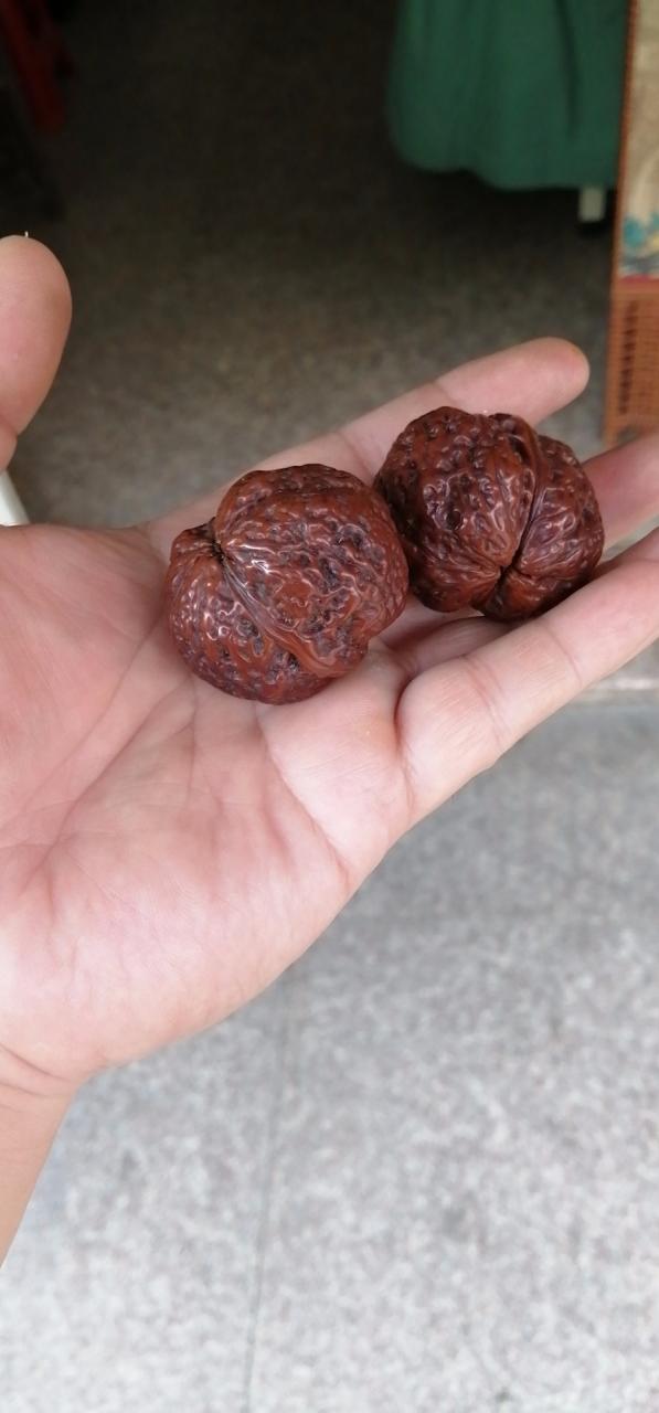 %title插图%num %title插图%num