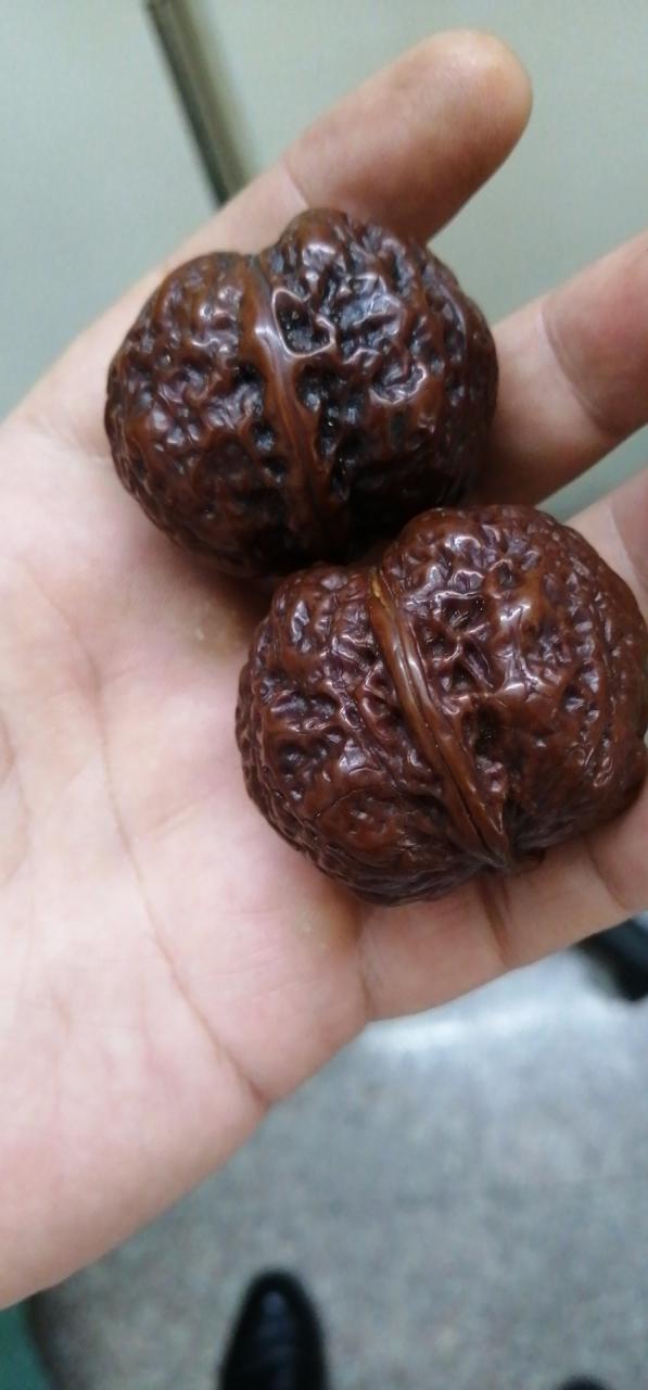 %title插图%num %title插图%num