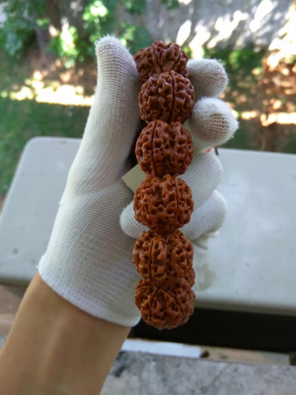 %title插图%num %title插图%num