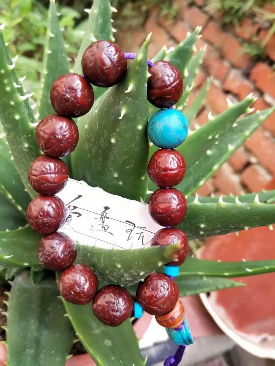 %title插图%num %title插图%num