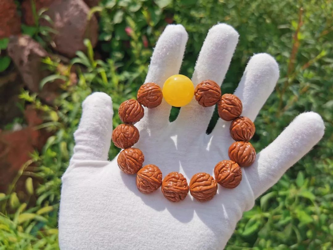 %title插图%num %title插图%num