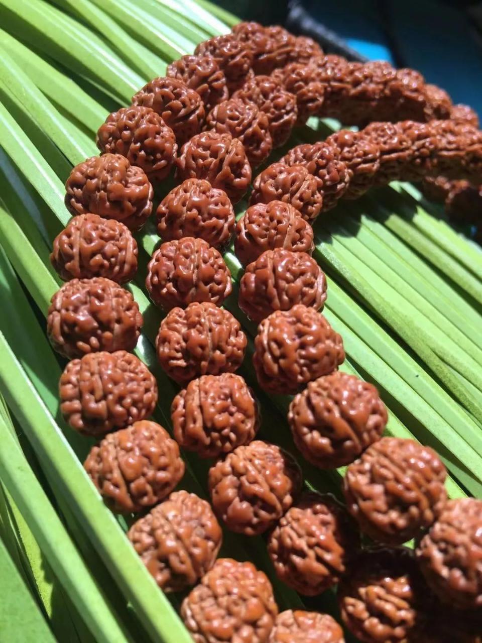 %title插图%num %title插图%num