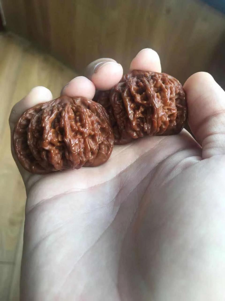 %title插图%num %title插图%num