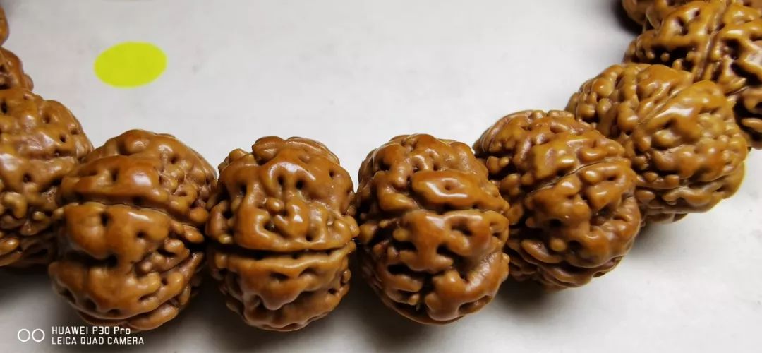 %title插图%num %title插图%num