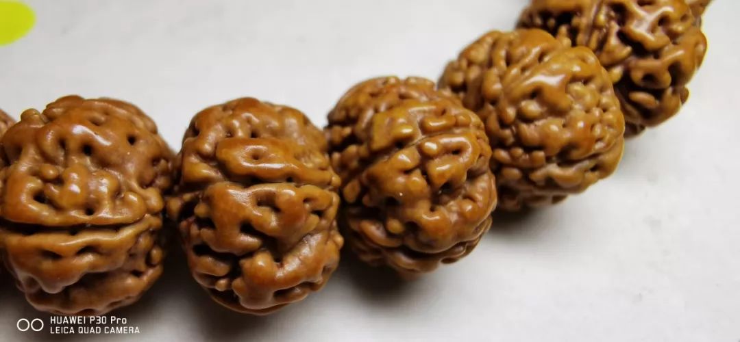 %title插图%num %title插图%num