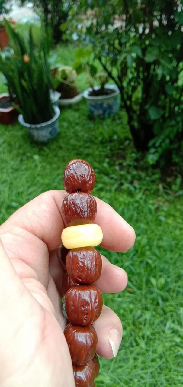 %title插图%num %title插图%num