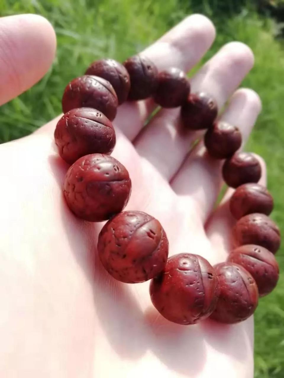 %title插图%num %title插图%num