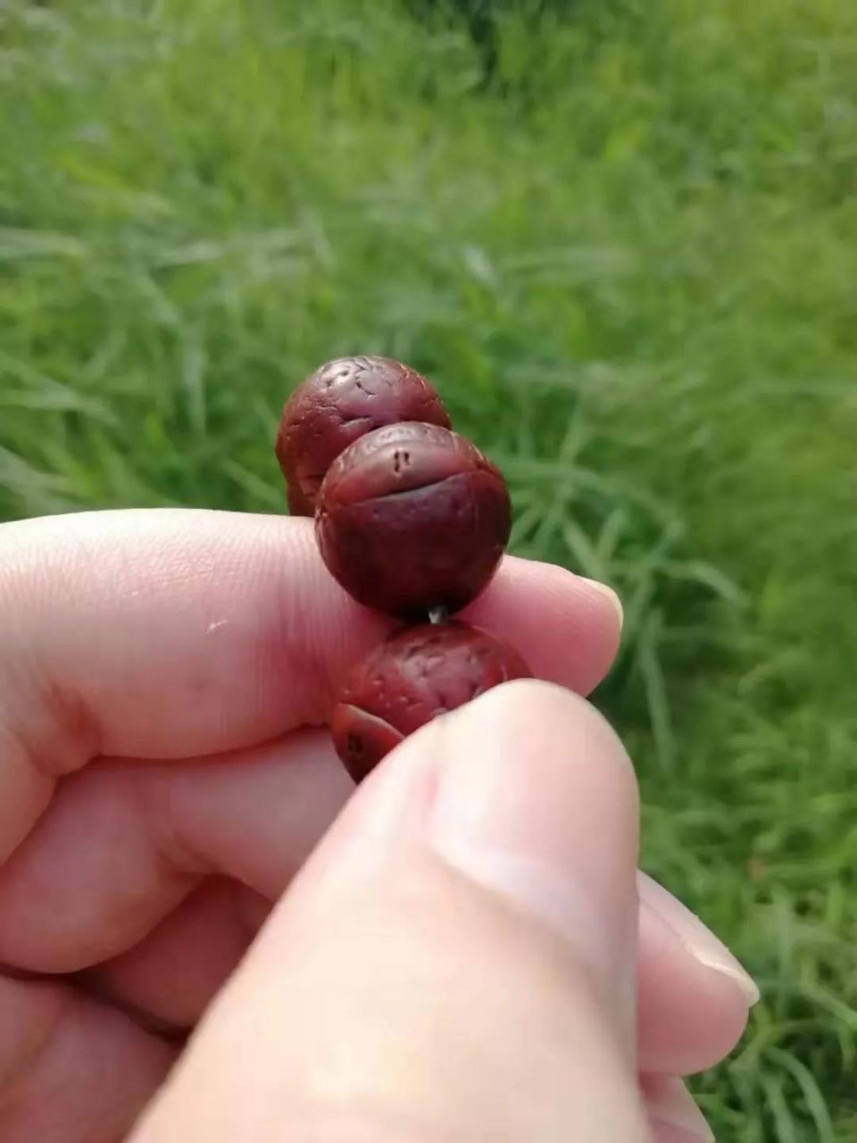 %title插图%num %title插图%num