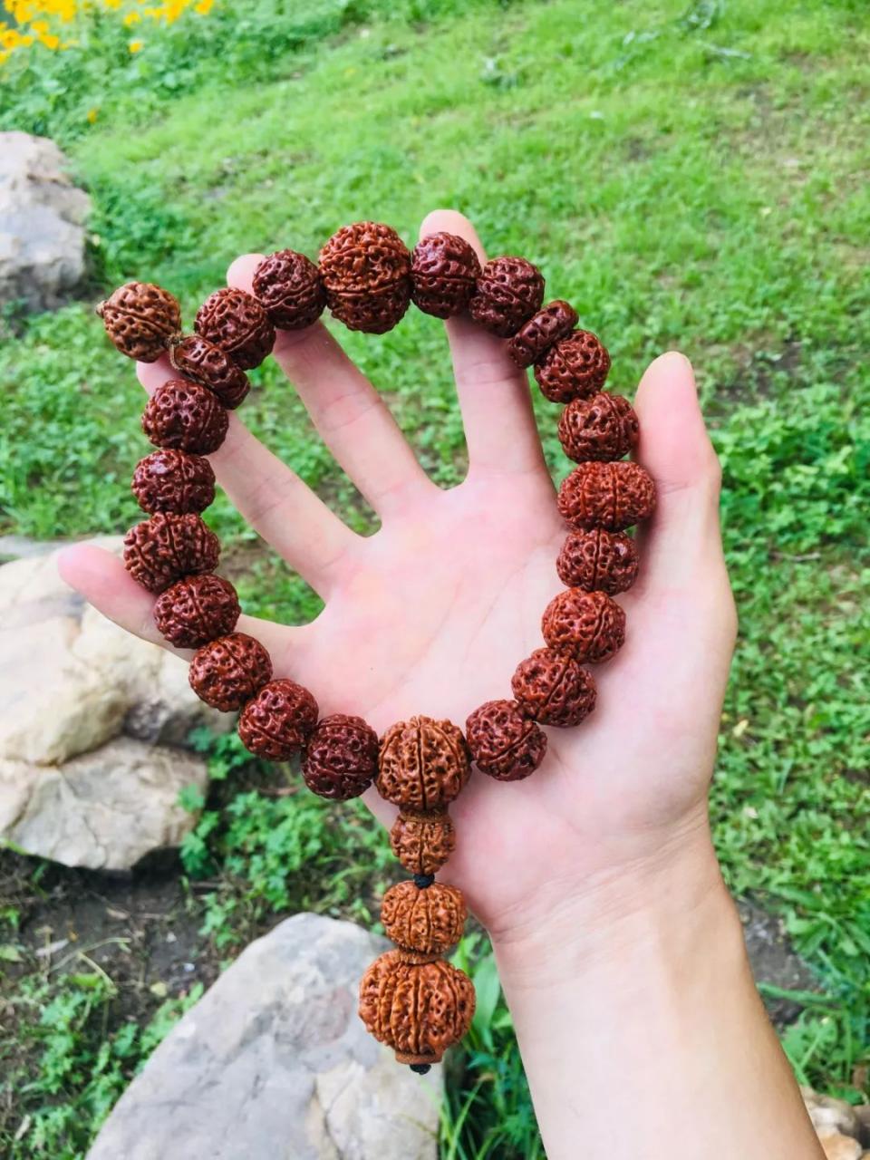 %title插图%num %title插图%num