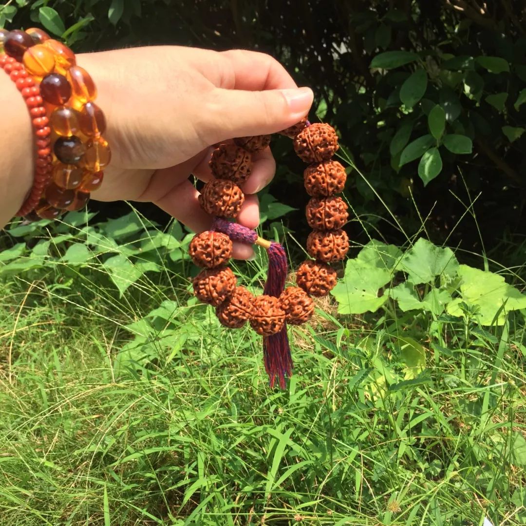 %title插图%num %title插图%num