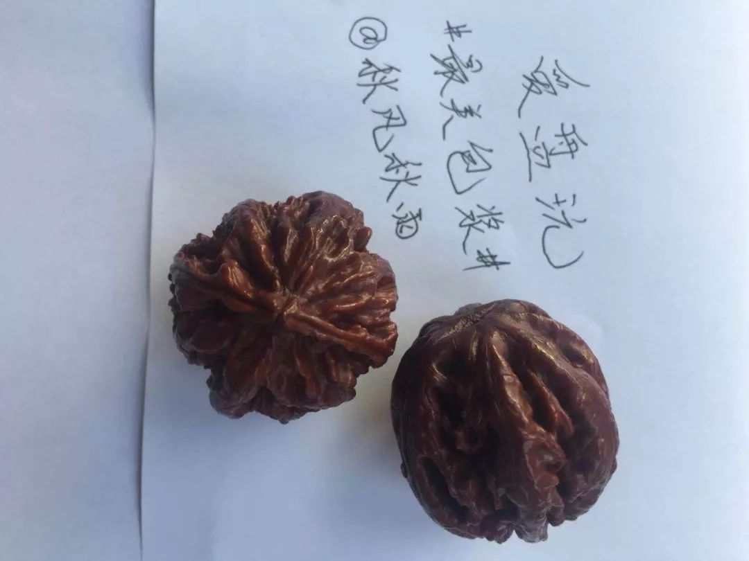 %title插图%num %title插图%num