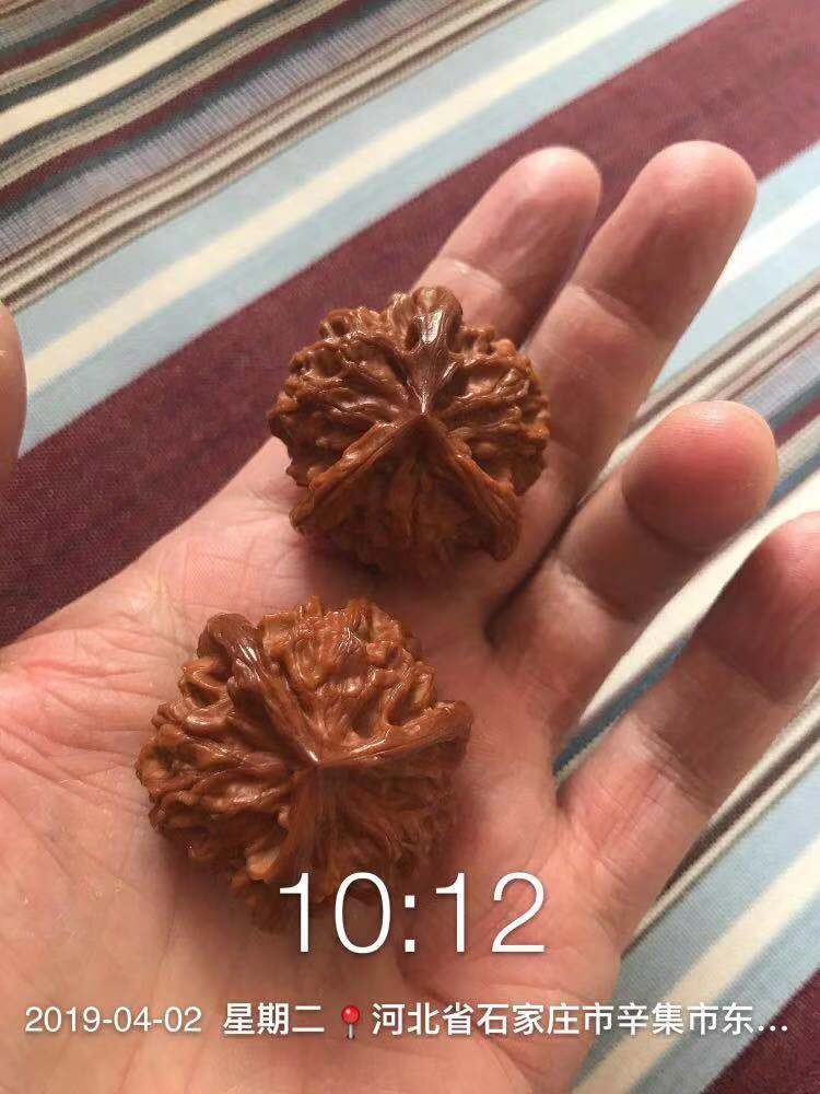 %title插图%num %title插图%num